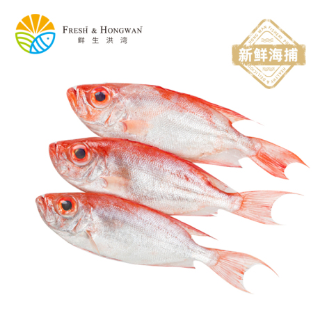 海捕大眼鸡 600-700g/份 （非三清）（冻品）