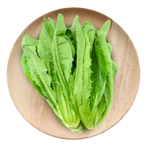 有机油麦菜（250g/份）