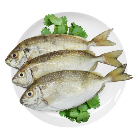泥猛鱼 400-450g/份（三清）