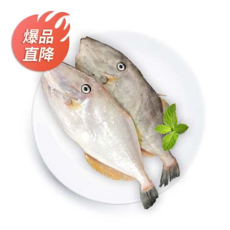 中剥皮鱼 400-470g/份（三清）
