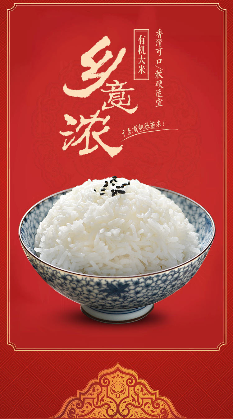葵花籽油：打开健康饮食新世界的大门
