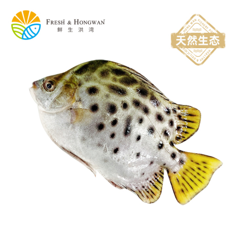 生态金鼓鱼 350-400g/份 （三清）