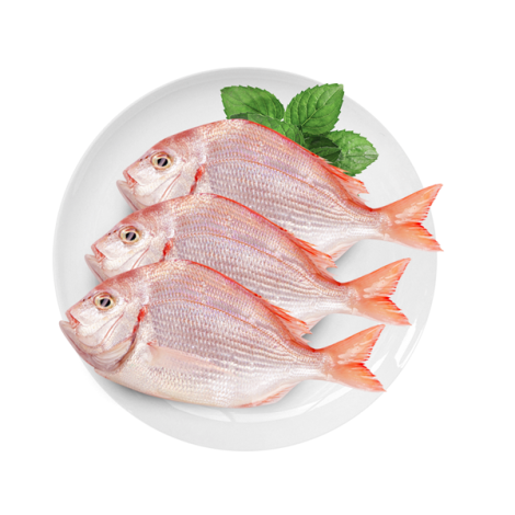 红立鱼 400-450g/份