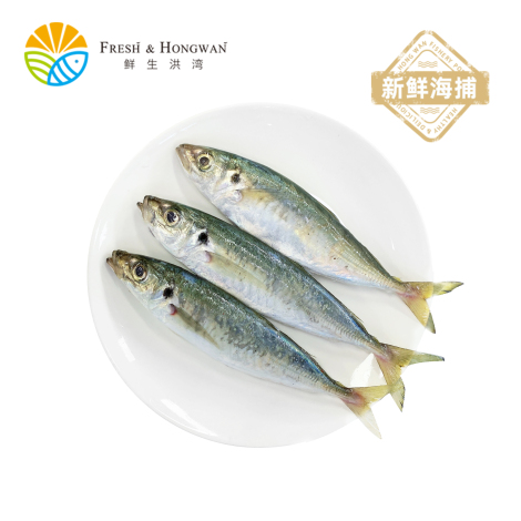 海捕池鱼（巴浪鱼）500g/份 （三清）（零下60°鲜冻）