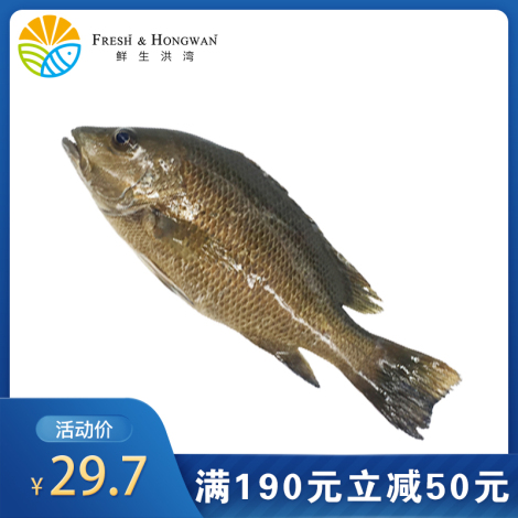 红友鱼 300-400g/份（三清）冻品
